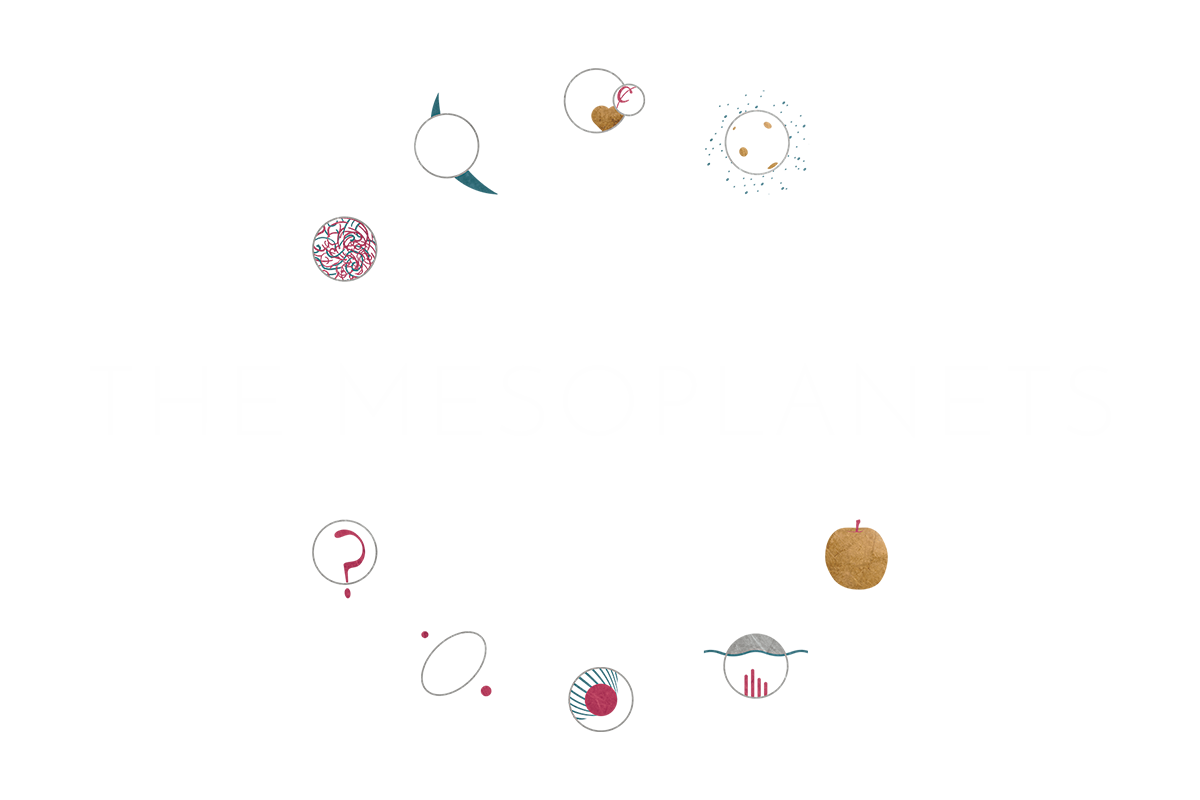 The Mesoplanets